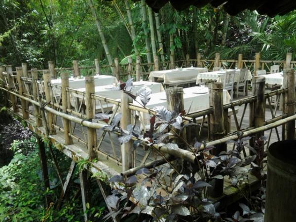full_bamboo-forest-restaurant---outdoor-area_1426738160 full_bamboo-forest-restaurant---outdoor-area_1426738160