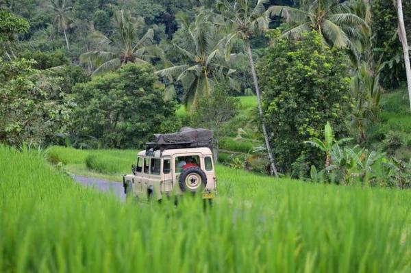 full_land_rover_2_1426737448 full_land_rover_2_1426737448