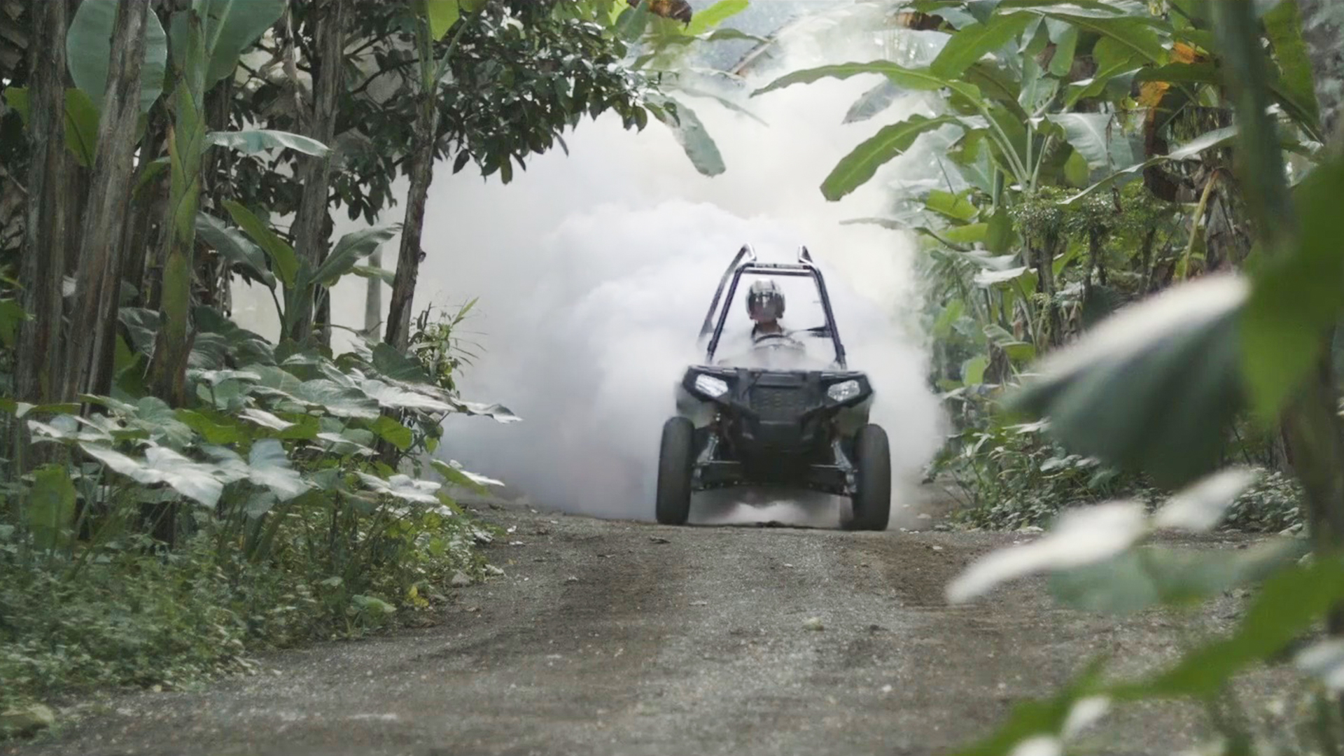 Bali Buggies 5