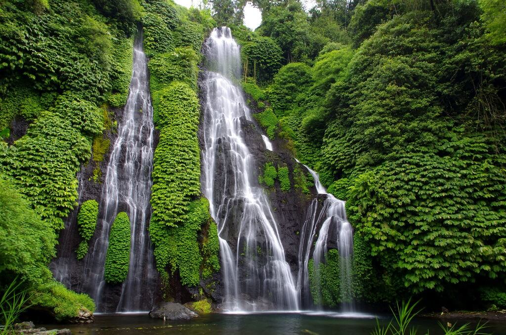 1501954895761f8fe73567_banyumala_